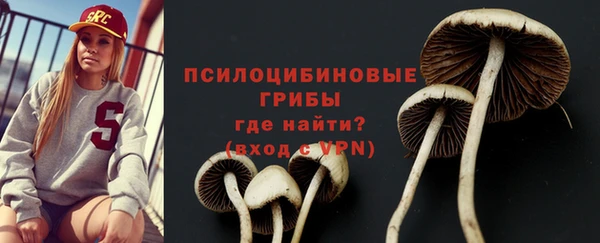прущие грибы Лагань