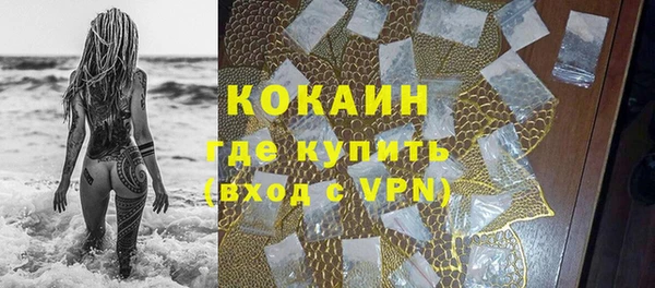 прущие грибы Лагань