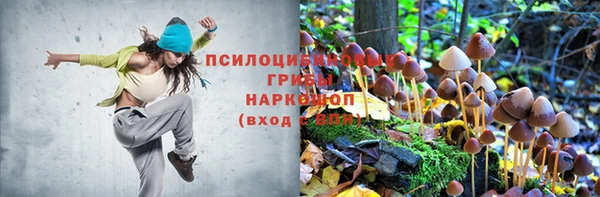 ECSTASY Кулебаки