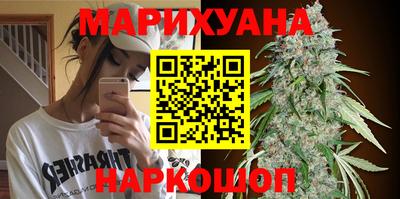 PSILOCYBIN Заводоуковск