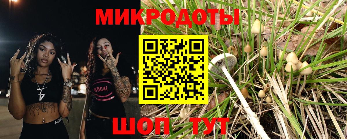где купить   Вход с VPN  Мурманск  Галлюциногенные грибы Psilocybe 